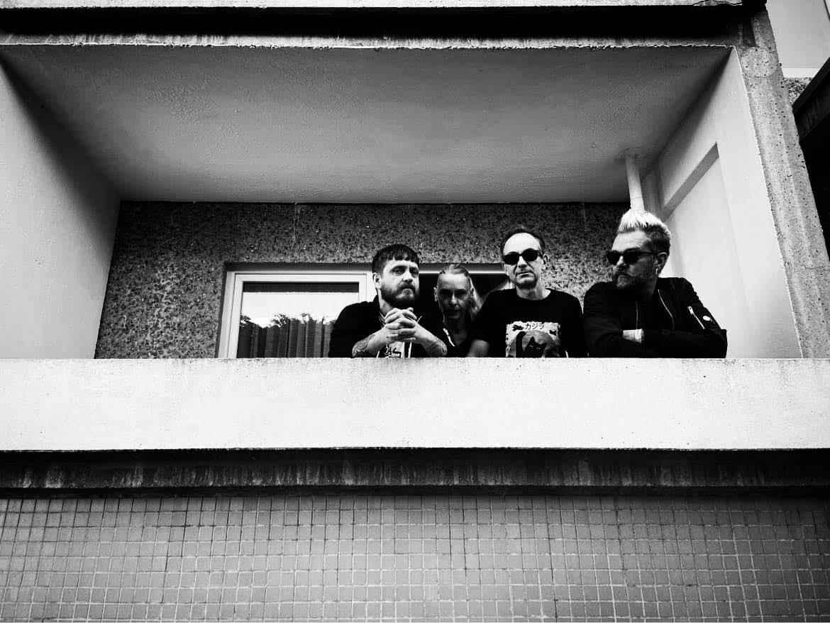 Cat Rapes Dog Casino 2024