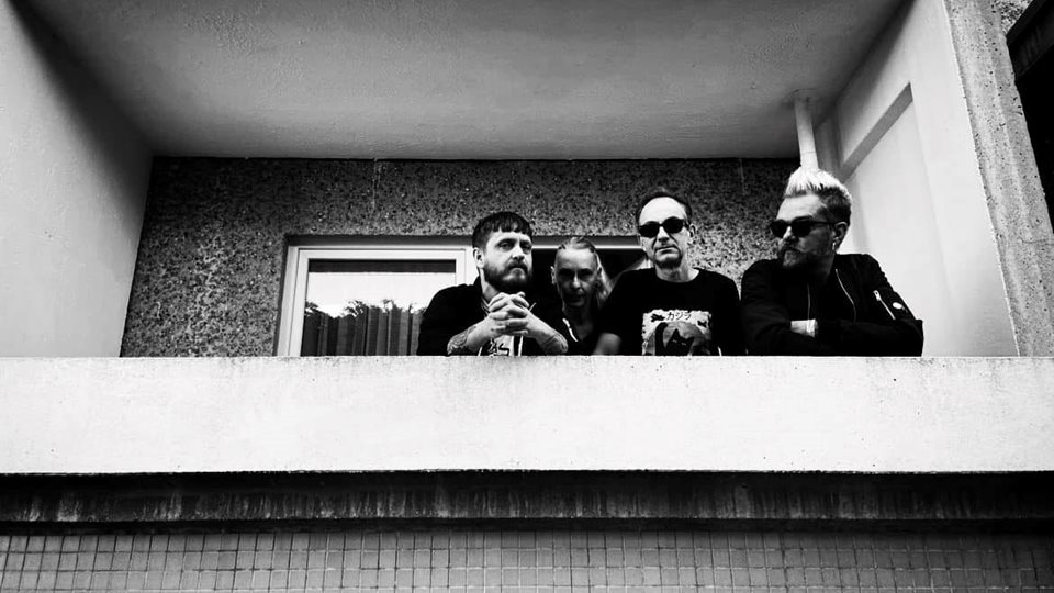 Cat Rapes Dog Casino 2024