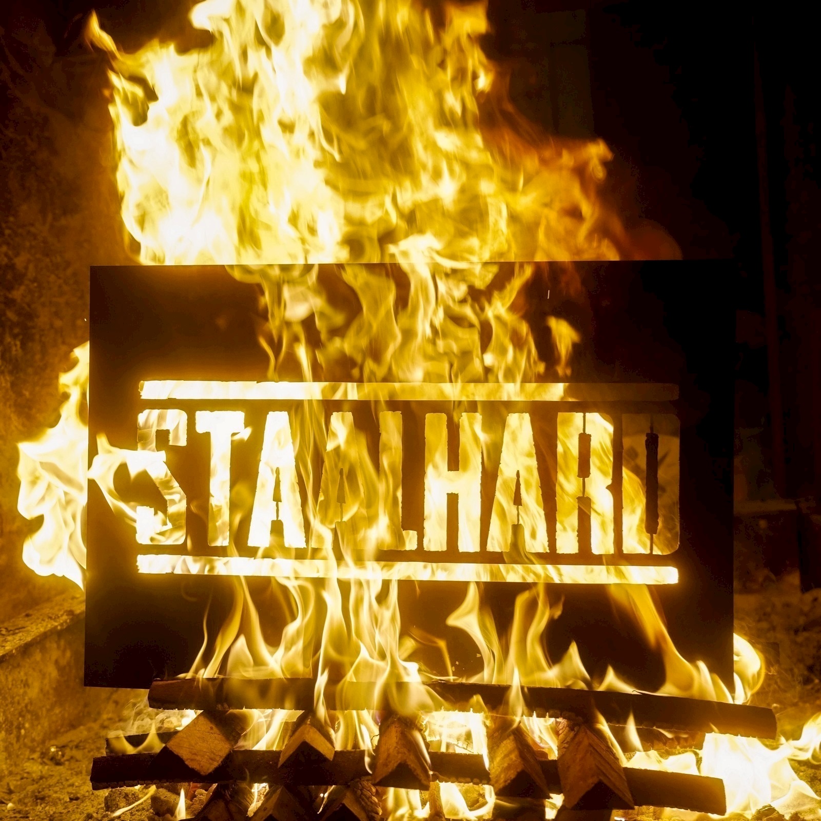 Staalhard 100 Willy 2021