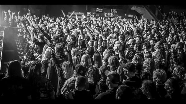 Crowd & Vibe 5
