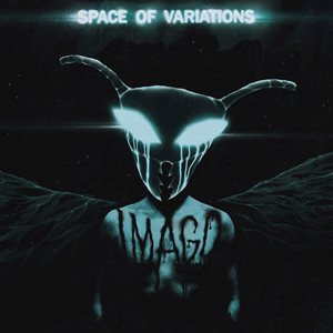 Space Of Variations Imago
