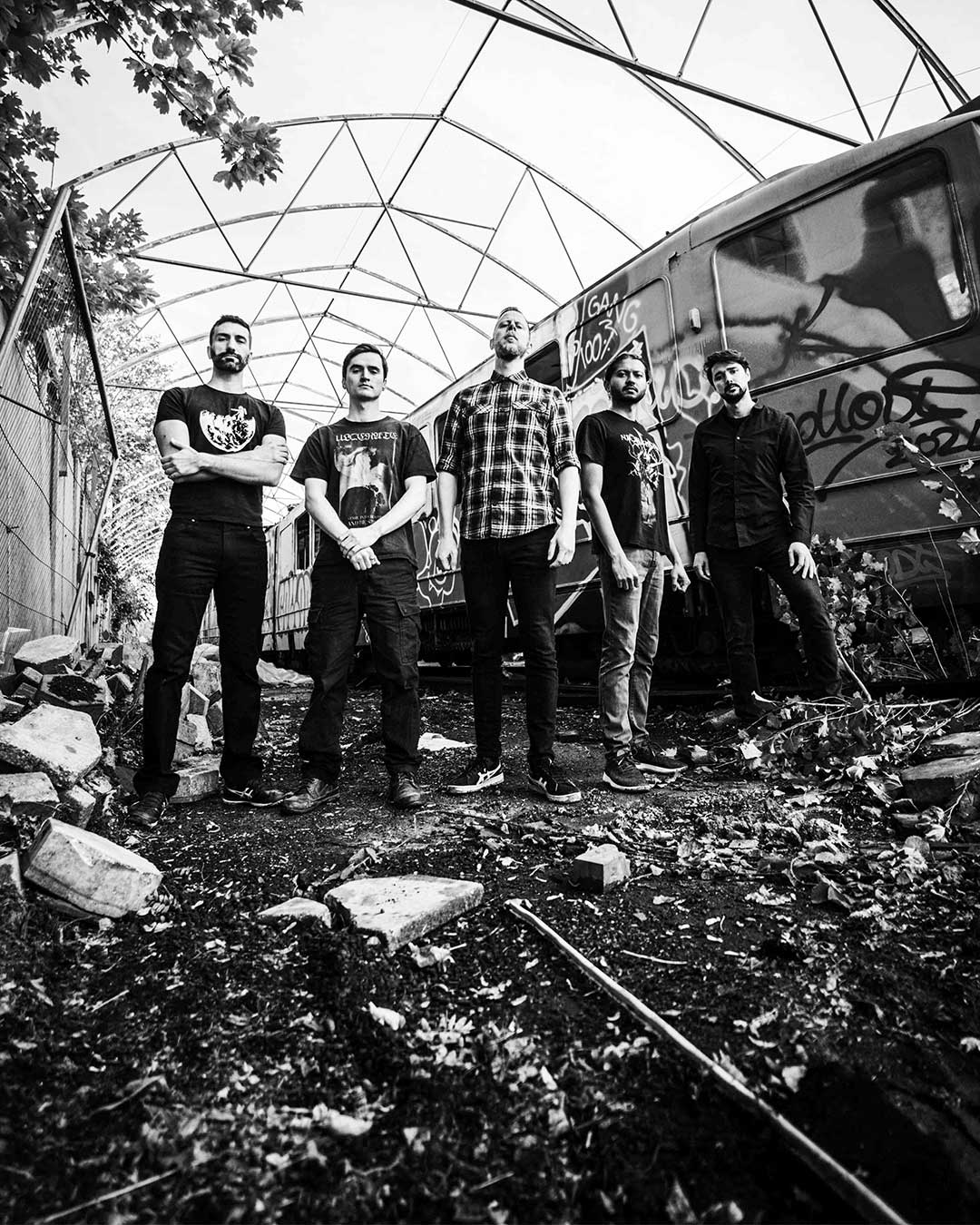 Demichron Cinetol 2026