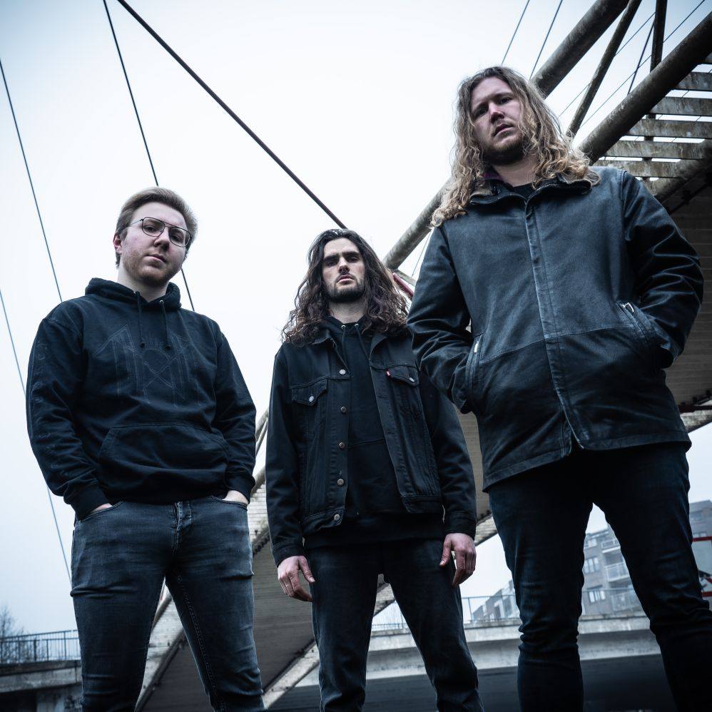 Dalver Kinky Star 2025