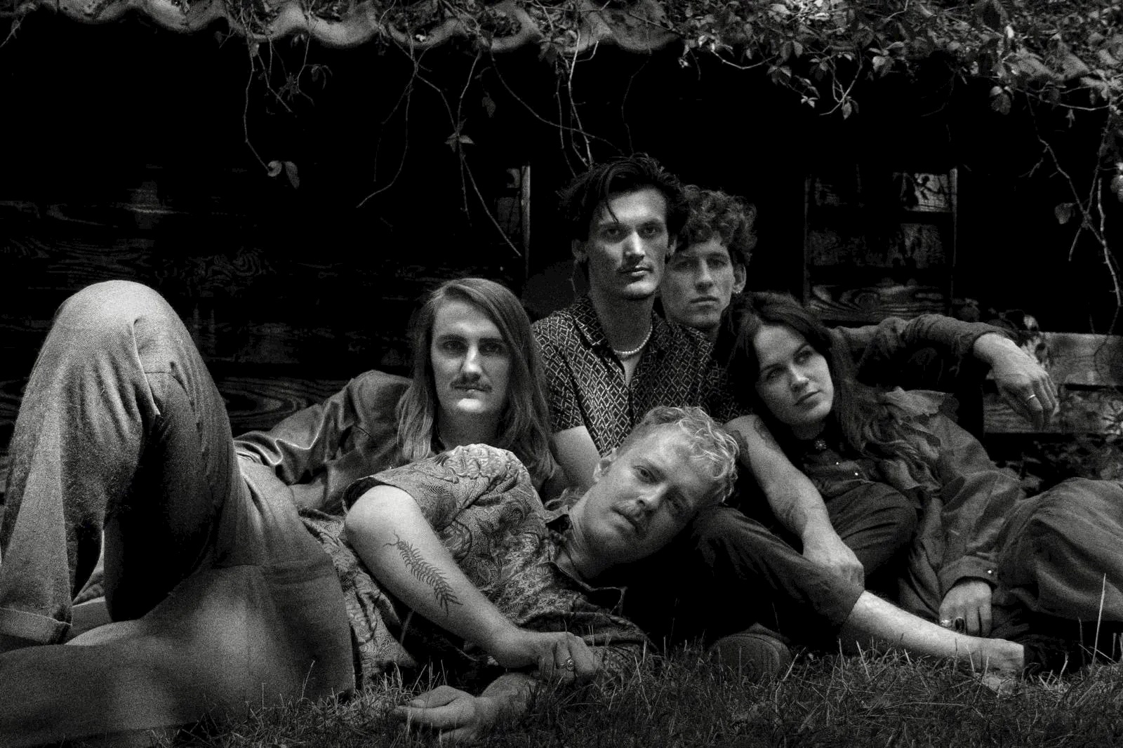 De Mis 013 2026