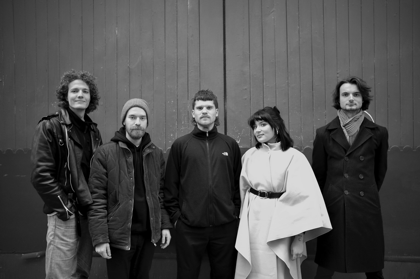 Femme Fugazi dB's 2026