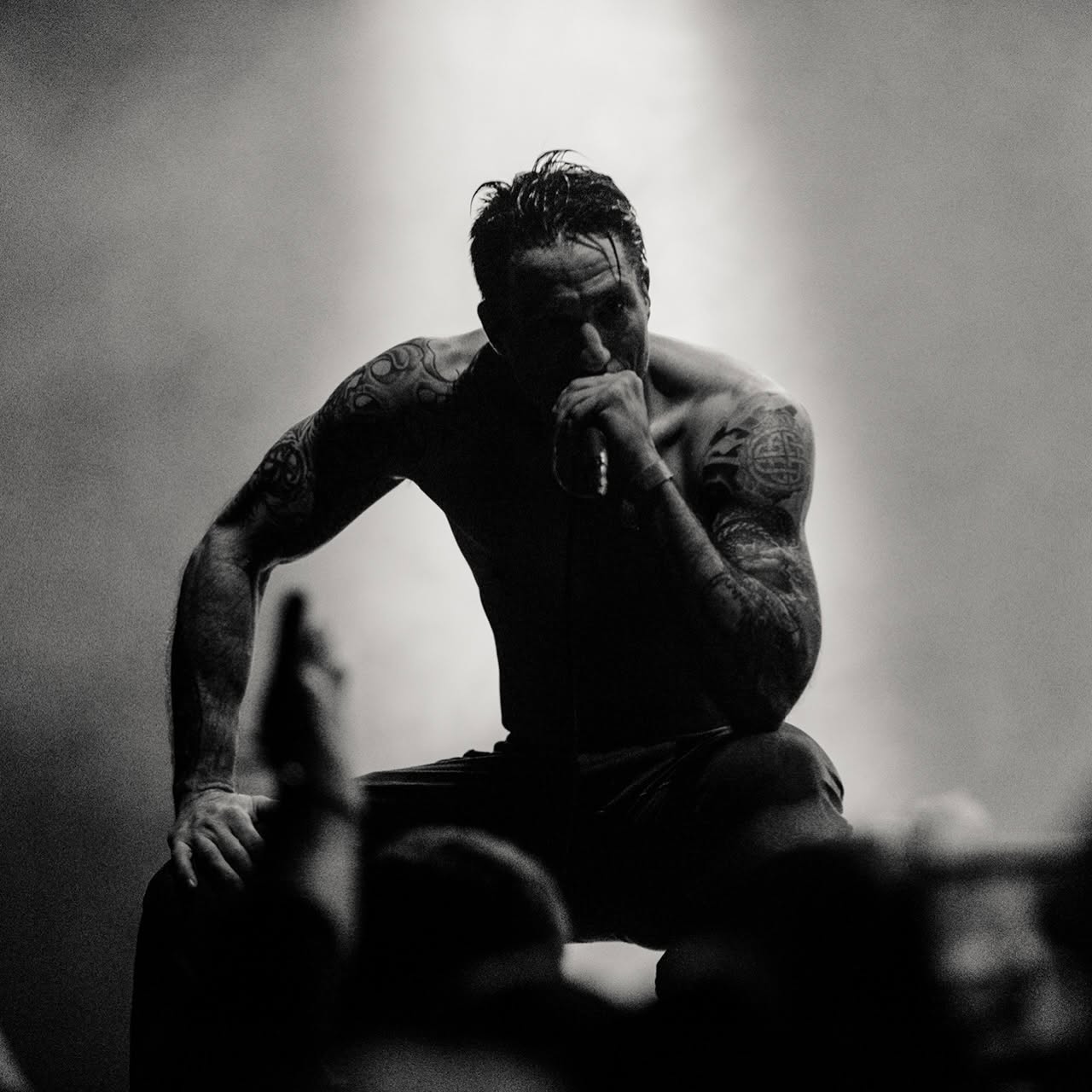 Raised Fist DVG 2026