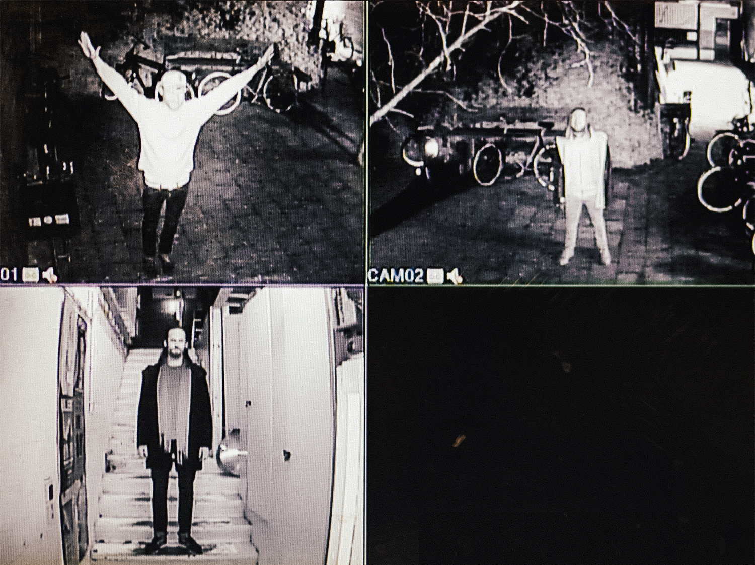 Fix Everything Vera 2022