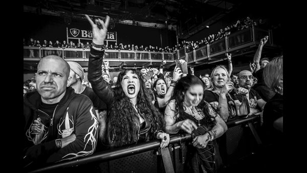 Crowd & Vibe 3
