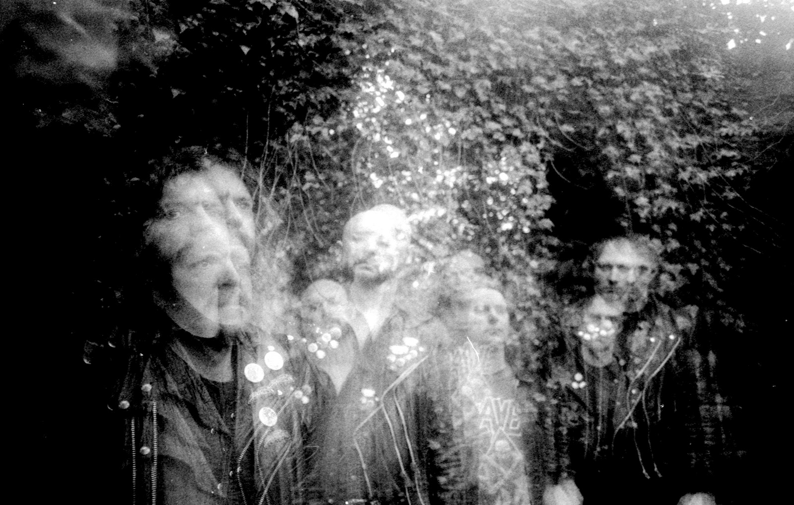 Wode - Foto: Stephen Fletcher