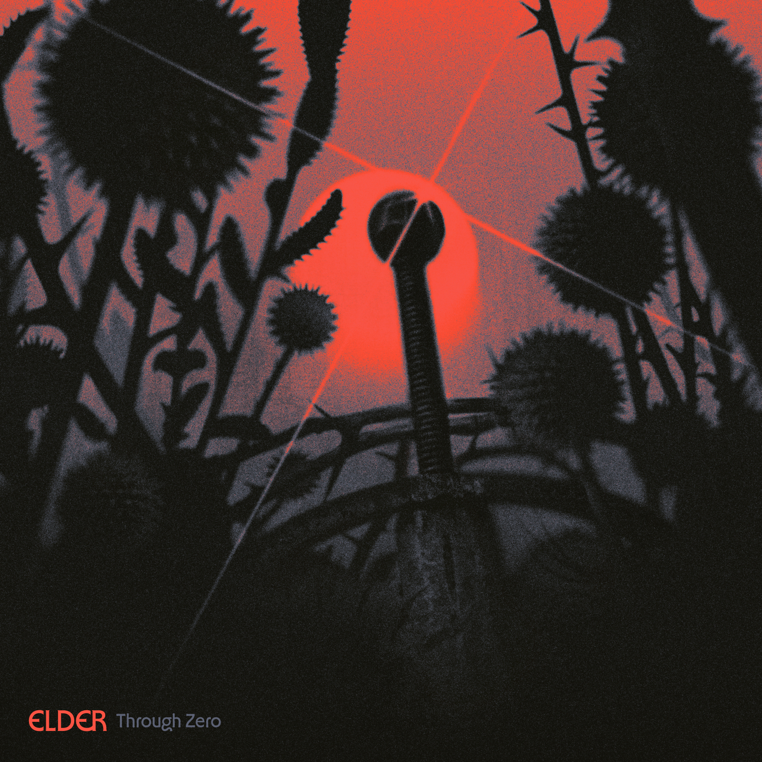 ELDER (1)