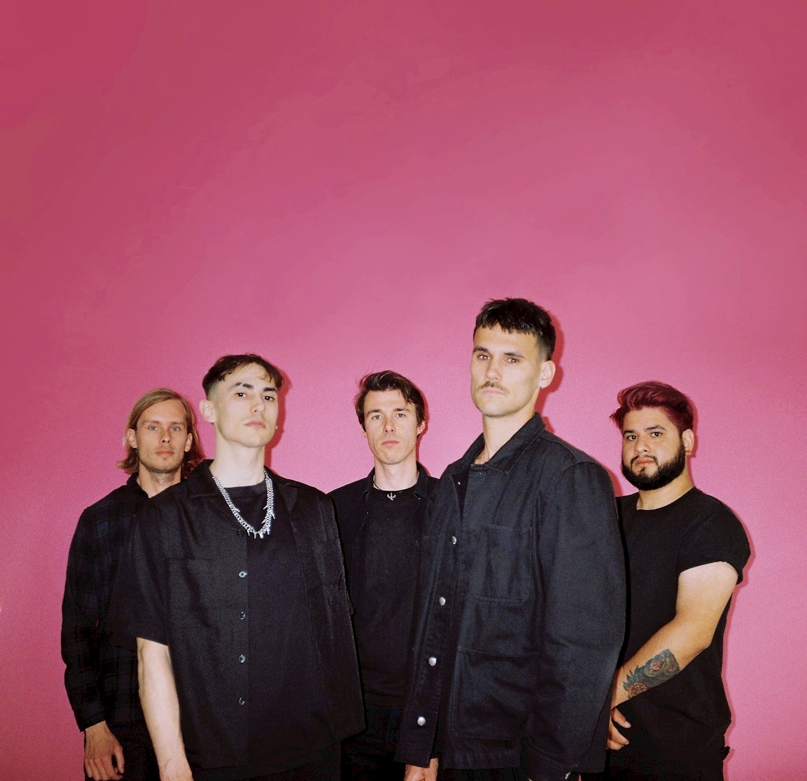 Ann My Dice Paard 2025