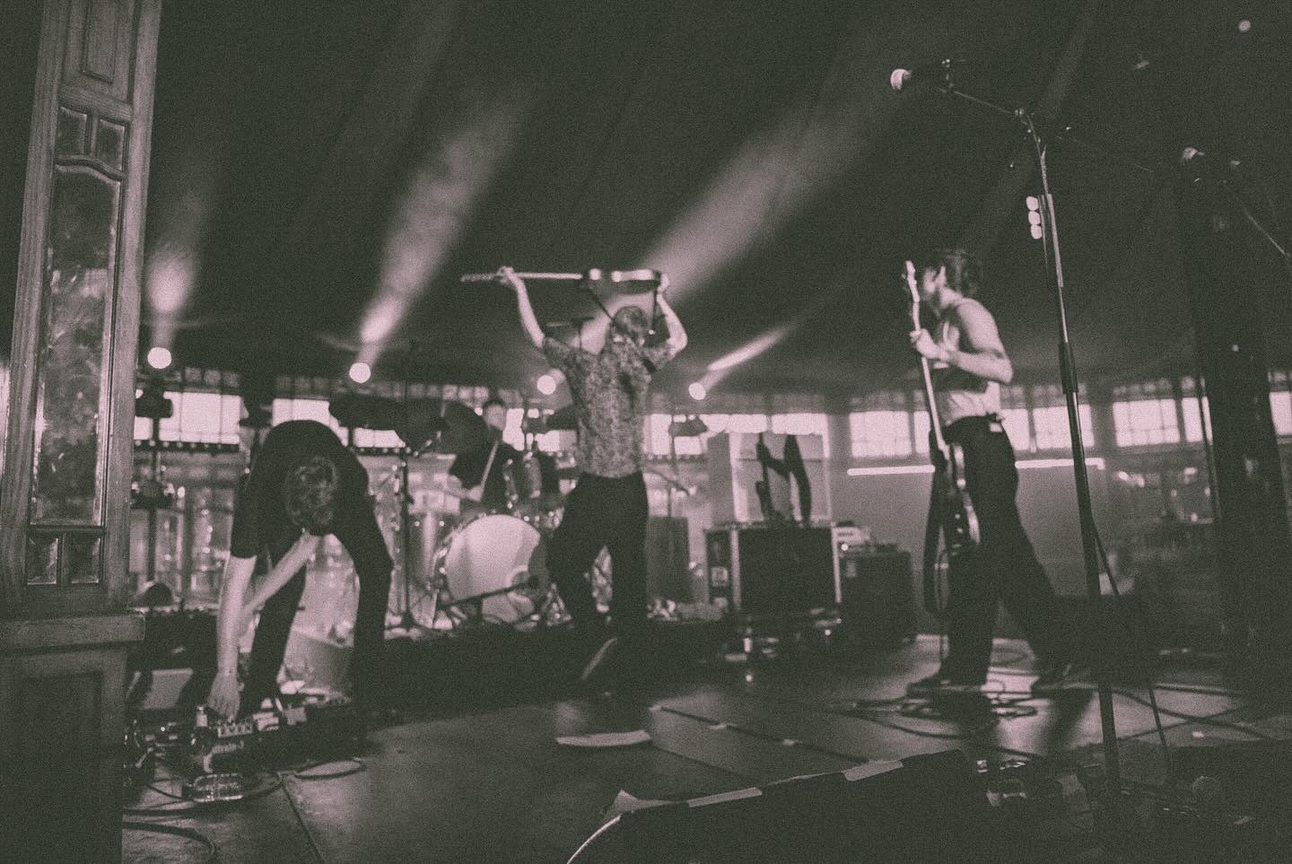 Pelican Dealer Comma 2024