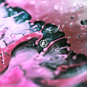 Linkin Park FZ ALBUM COVER 5X5 300