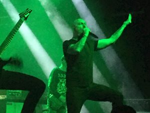 Coffin Feeder FP1 2022