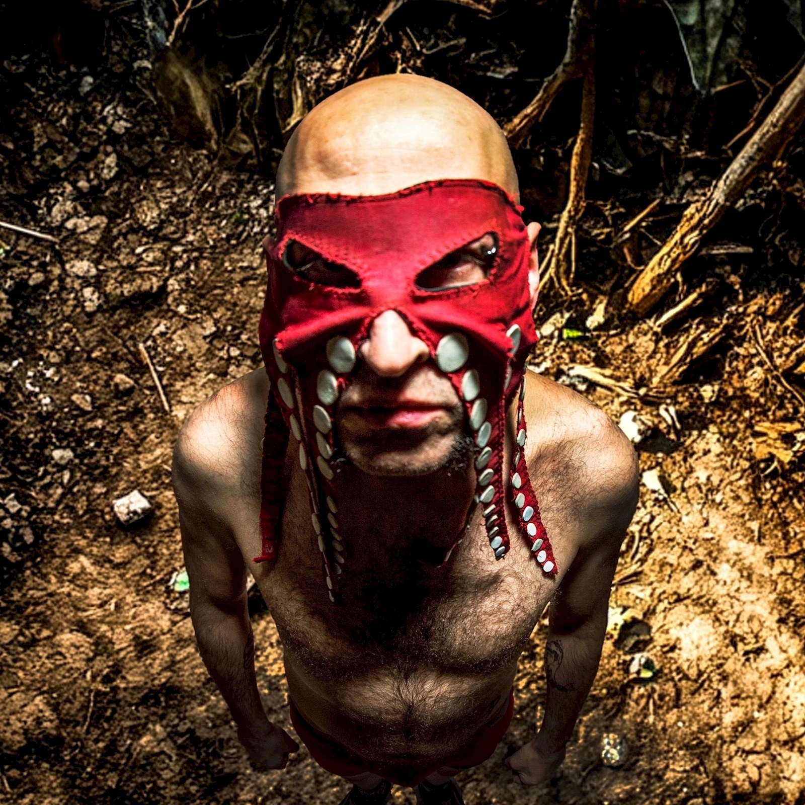 Octopoulpe Dynamo 2026