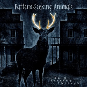 PATTERN SEEKING ANIMALS Only Passing Through