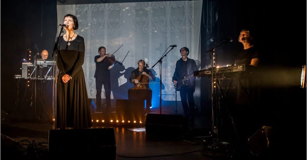 Collection D'Arnell-Andréa Entrepot 2026