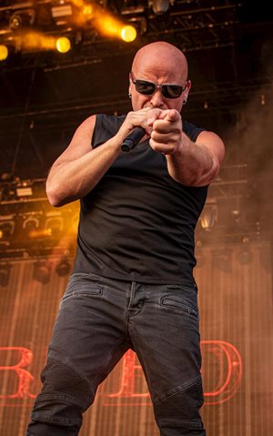 Disturbed (1 Van 5)