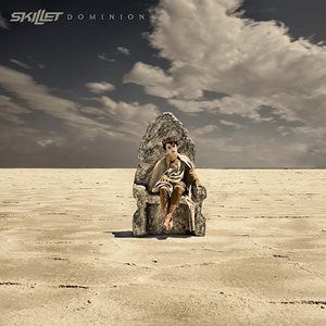 Skillet Cover