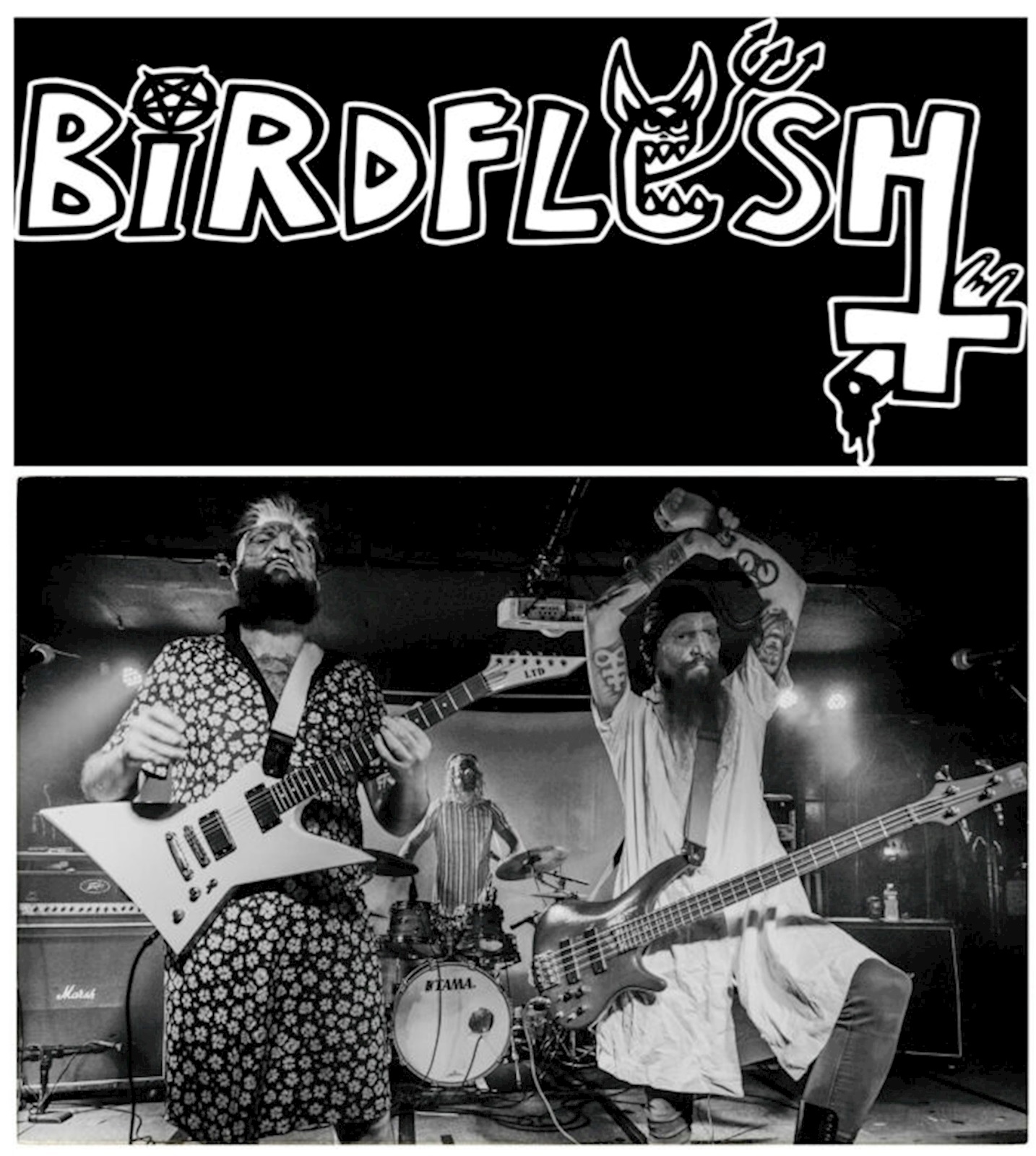 Birdflesh Willemeen 2026