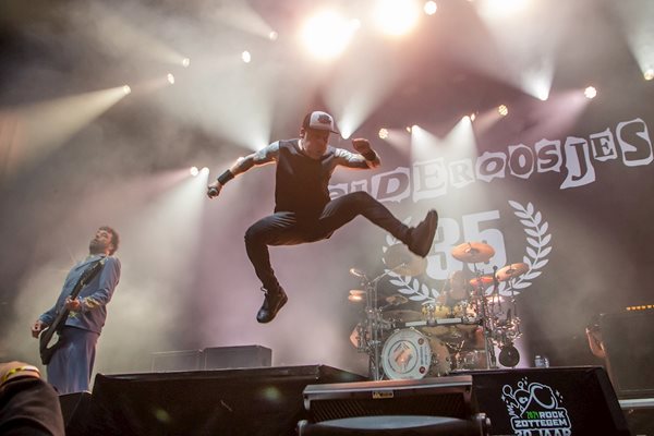 A 20240712 Heideroosjes 02