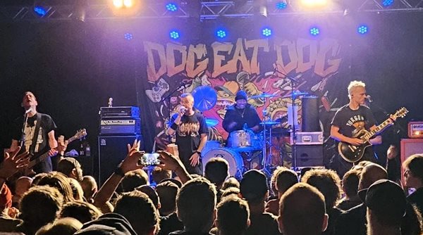 Dog Eat Dog2