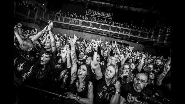 Crowd & Vibe 2