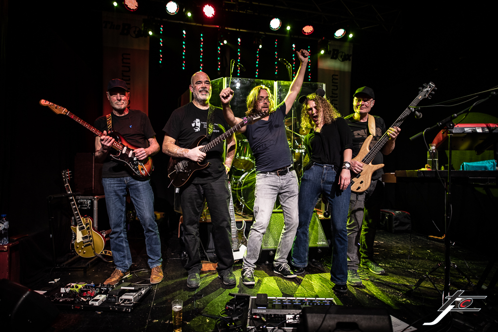 Absolutely Frank Musicon 2025