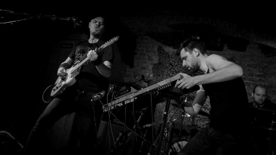 Stereoseat Elpee 2023